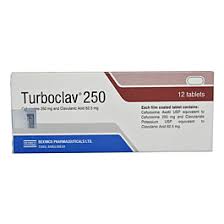 Picture of Turboclav 250